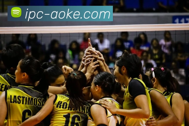 App Interface Preview