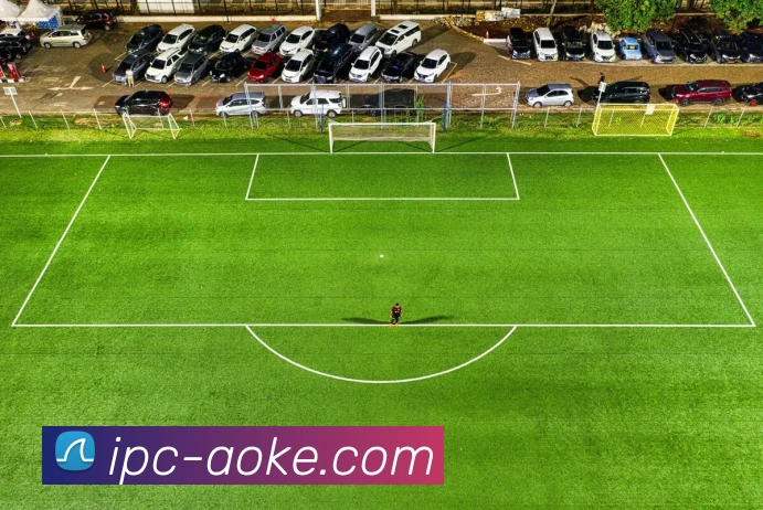 数据防护可视化